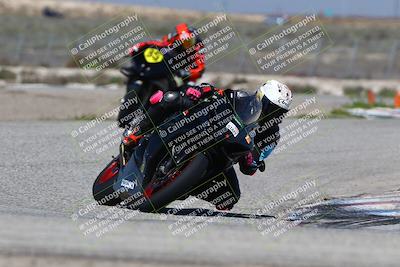 media/Mar-24-2025-2WTD (Mon) [[55b4b08488]]/B Group/220pm (Cotton Corners)/